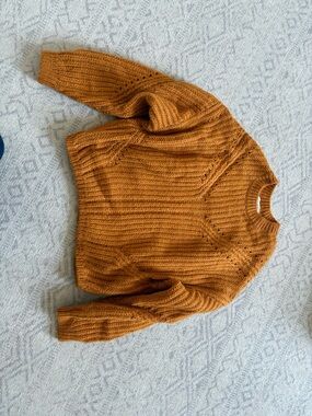& Other Stories Chunky Crewneck Sweater in Burnt Orange